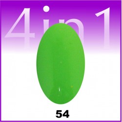Gel color One Stroke 4 in 1 #54